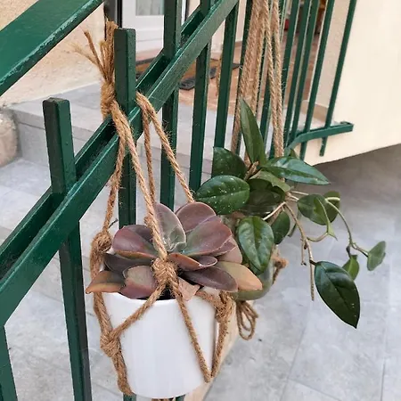 Apartment Casetta Albale